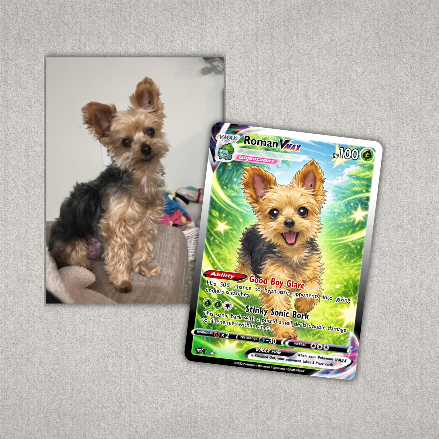 Real dog next to a trading card with a similar dog illustration on a gray background
