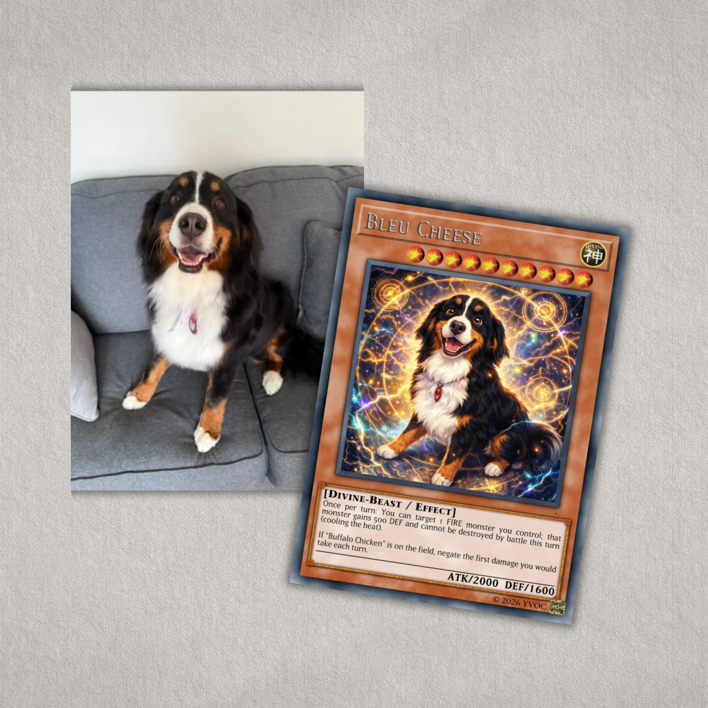 Dog sitting on a couch next to a trading card featuring the dog