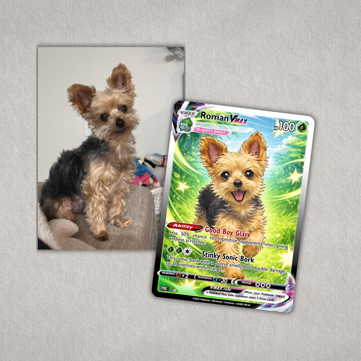 Pet photo transformed into a custom Pokémon-inspired trading card with personalized dog artwork, name and details on an aluminum card